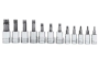 TORX® / Standard, Chrome (1/4")