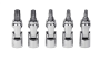 TORX®/Tamper-Proof Universal (1/4")