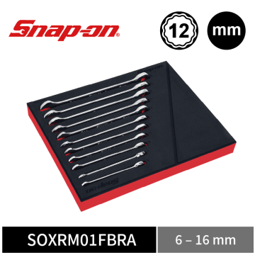 0_SOXRM01FBRA