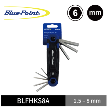 BP_BLFHKS8A