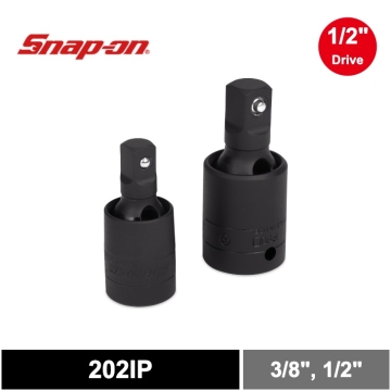 01_202IP