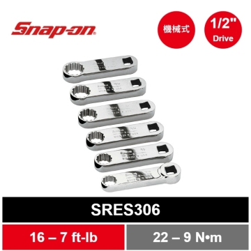 01_SRES306